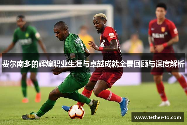 费尔南多的辉煌职业生涯与卓越成就全景回顾与深度解析