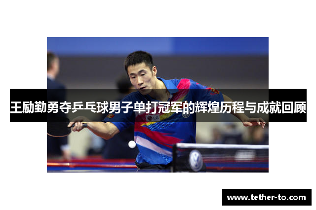 王励勤勇夺乒乓球男子单打冠军的辉煌历程与成就回顾