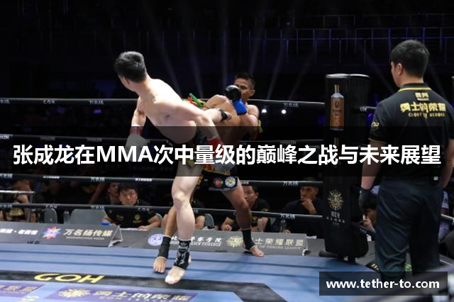 张成龙在MMA次中量级的巅峰之战与未来展望