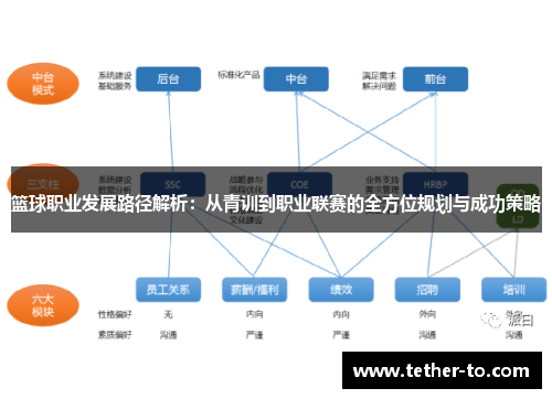 篮球职业发展路径解析：从青训到职业联赛的全方位规划与成功策略